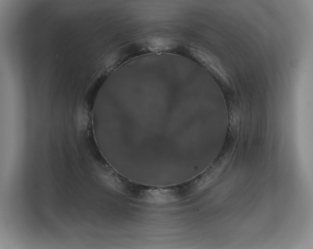X0000111580367200907231240
