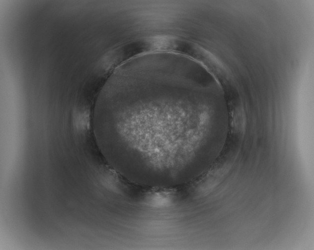 X0000111580368200907231240