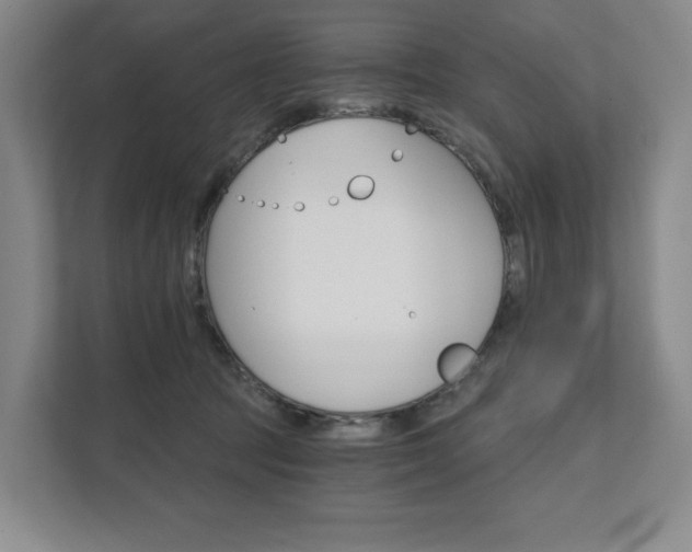 X0000111580369200907231240