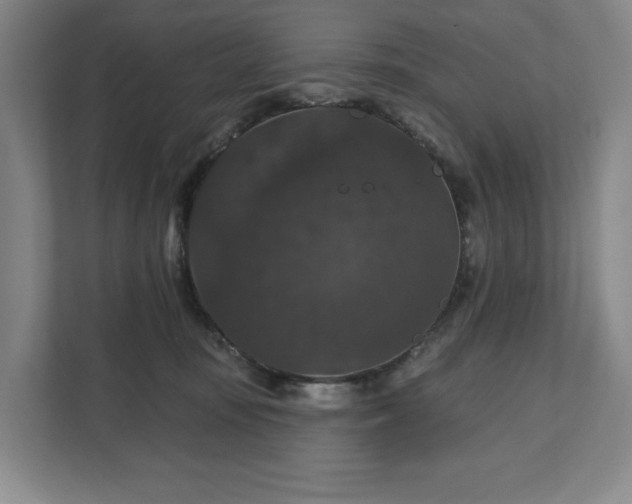 X0000111580371200907231240