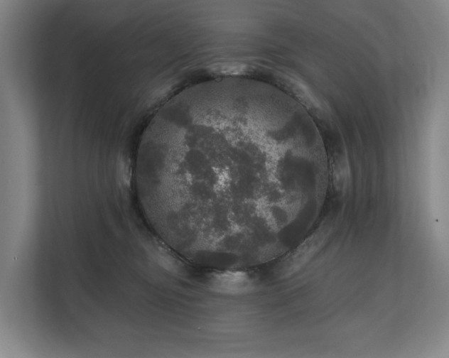 X0000111580374200907231240