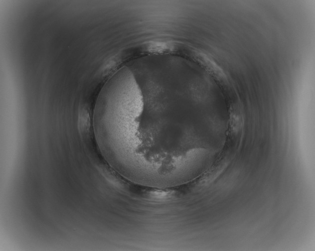 X0000111580375200907231240