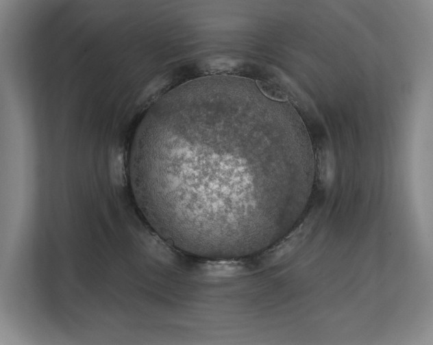 X0000111580378200907231240