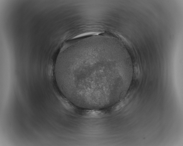 X0000111580379200907231240