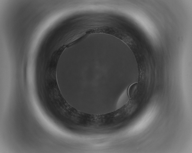 X0000111580383200907231240