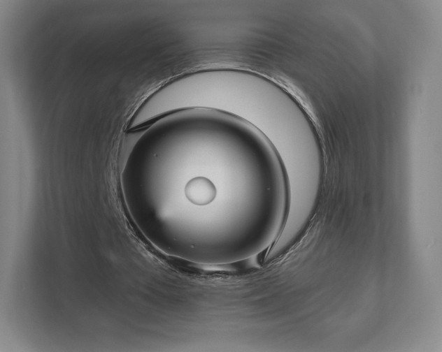 X0000111580385200907231240