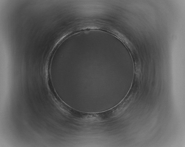 X0000111580386200907231240