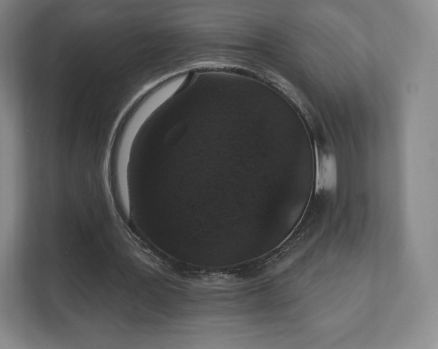 X0000111580387200907231240