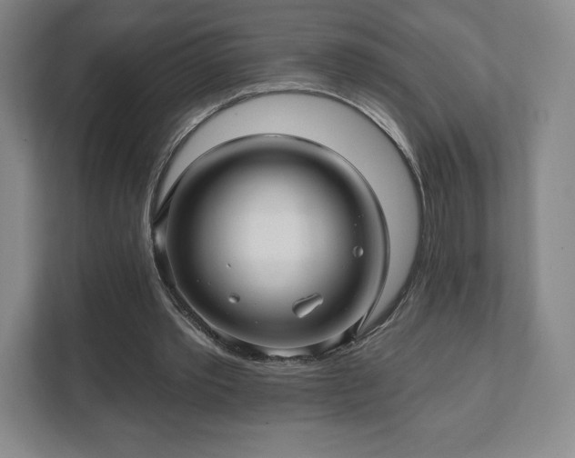 X0000111580389200907231239