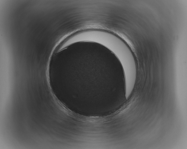 X0000111580391200907231239