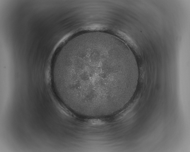 X0000111580392200907231239