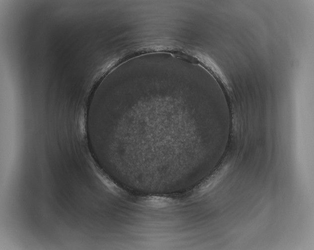X0000111580393200907231239