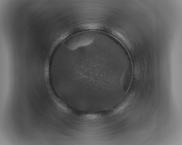 X0000111580394200907231239