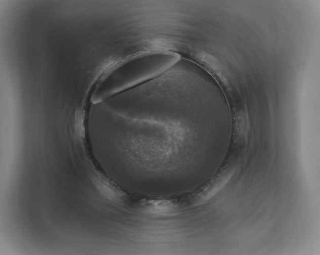X0000111580395200907231239