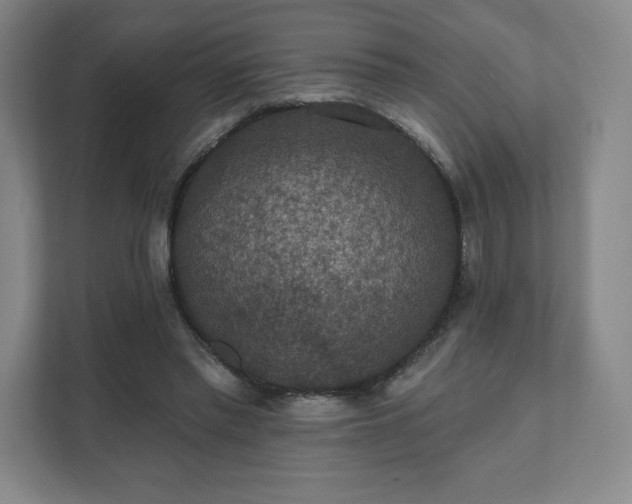X0000111580397200907231239