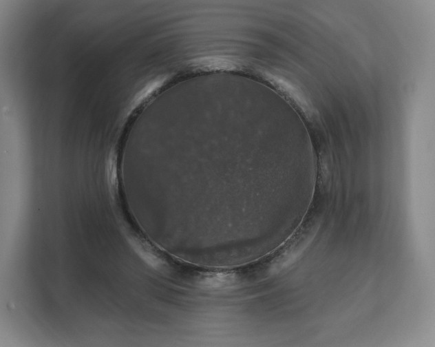 X0000111580398200907231239
