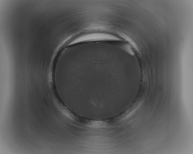 X0000111580399200907231239