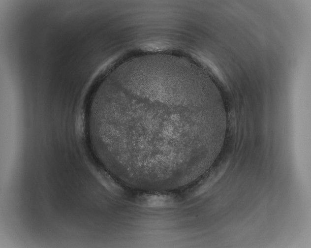 X0000111580400200907231239