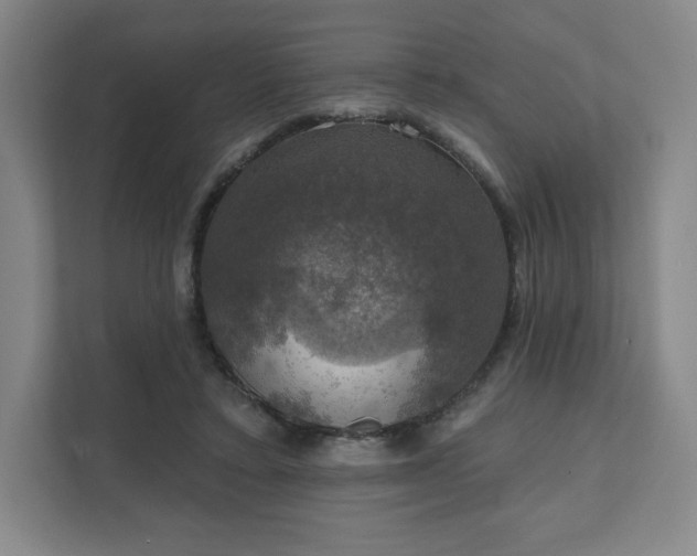 X0000111580403200907231239