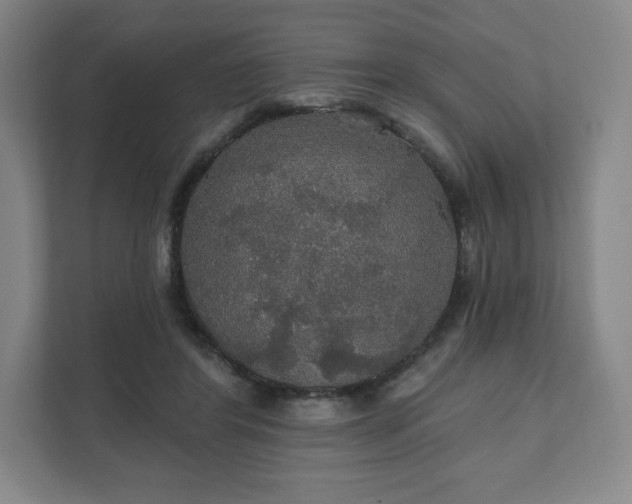 X0000111580404200907231239