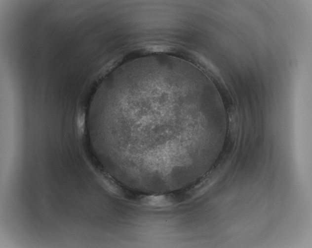 X0000111580406200907231239