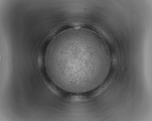 X0000111580408200907231239