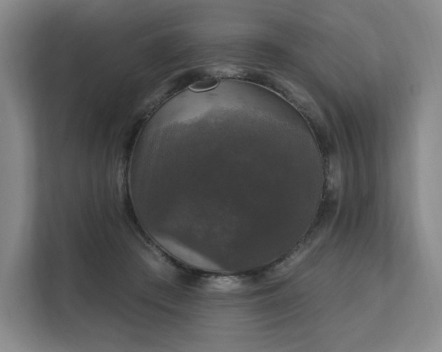 X0000111580409200907231239