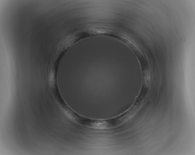 X0000111580410200907231239