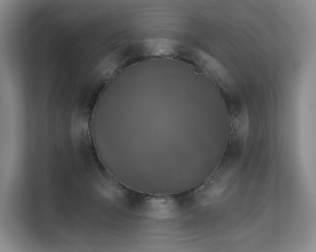 X0000111580415200907231239