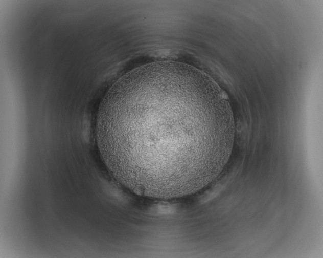 X0000111580416200907231239