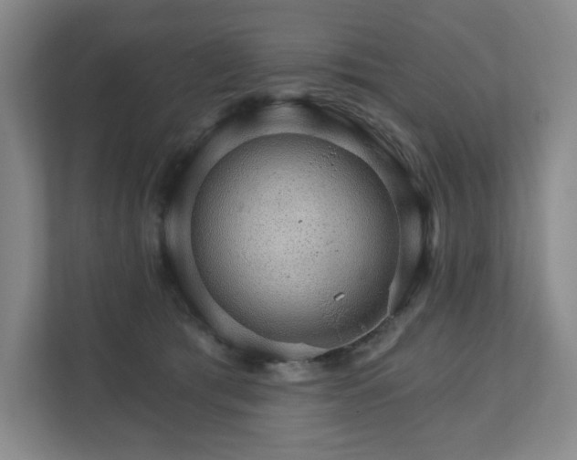X0000111580417200907231239