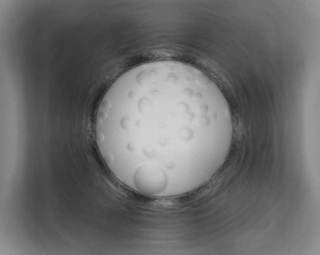 X0000111580418200907231239