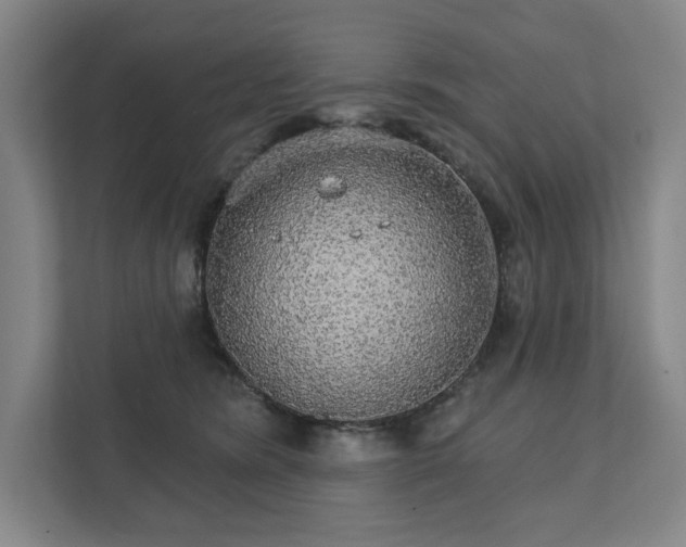 X0000111580420200907231239