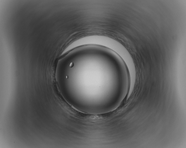 X0000111580421200907231239