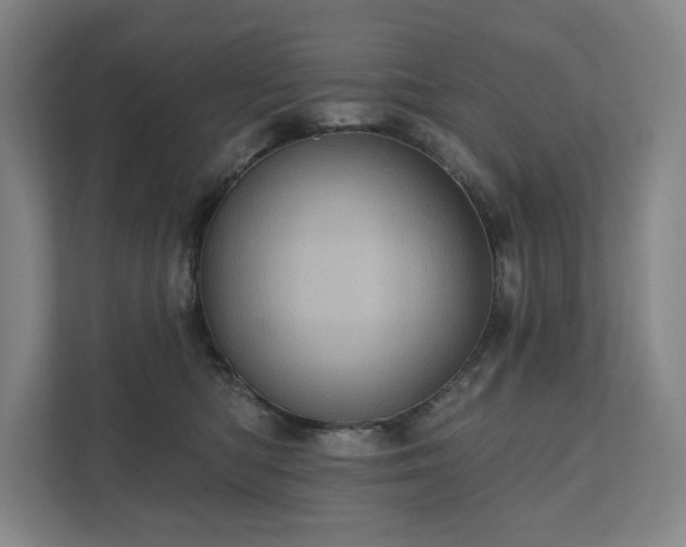 X0000111580422200907231239