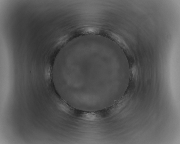 X0000111580423200907231239