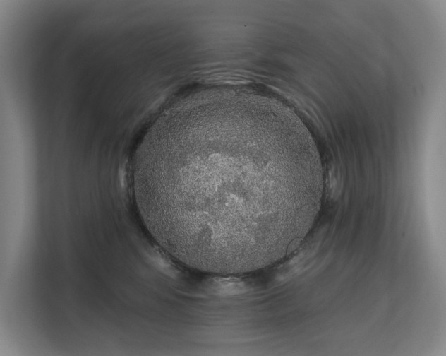 X0000111580424200907231239