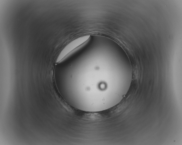X0000111580427200907231239