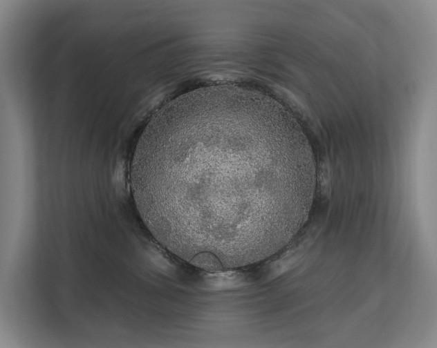 X0000111580428200907231239