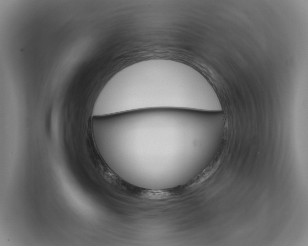 X0000111580429200907231239
