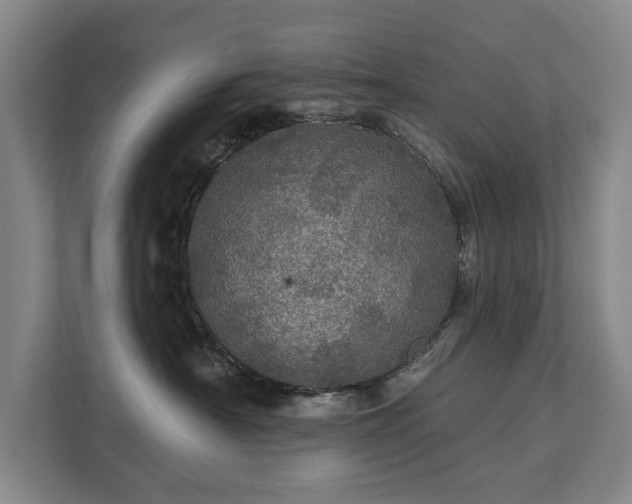 X0000111580430200907231239