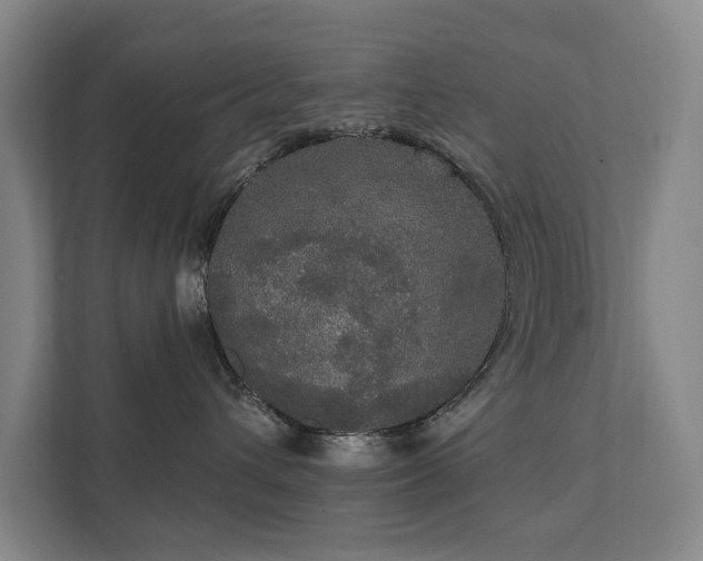 X0000111580432200907231239