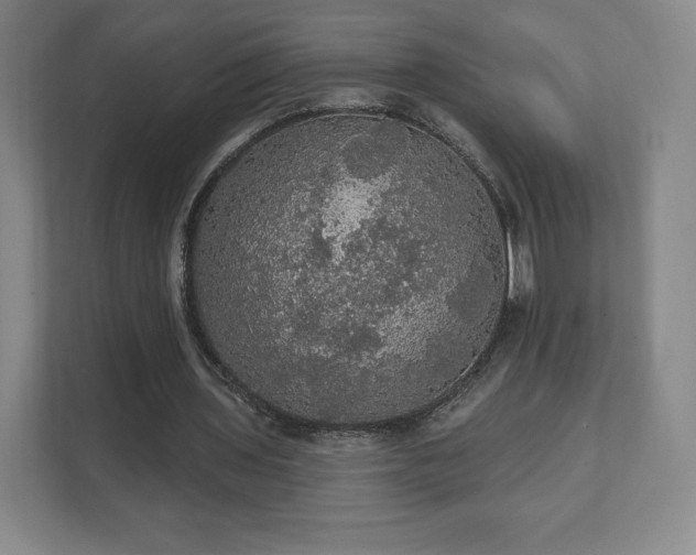 X0000111580435200907231238
