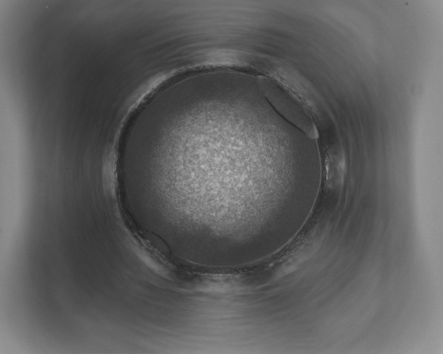 X0000111580436200907231238