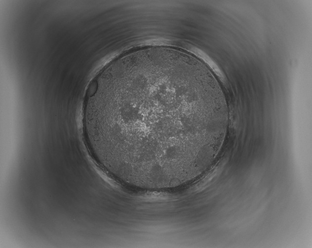 X0000111580437200907231238