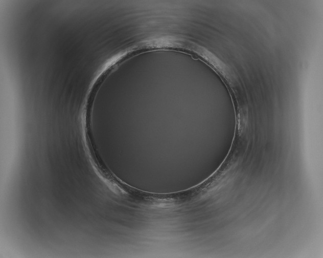 X0000111580438200907231238