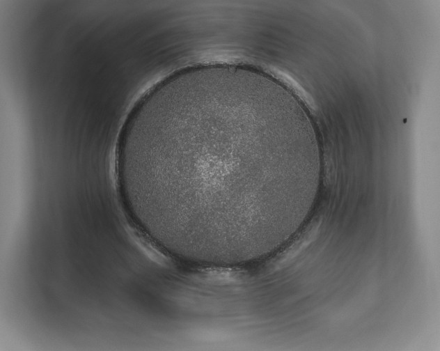 X0000111580439200907231238