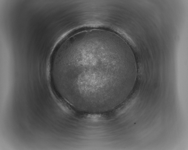 X0000111580440200907231238