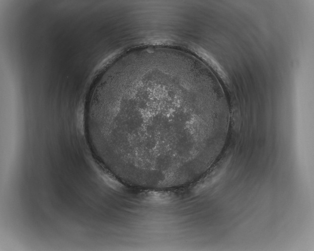 X0000111580442200907231238