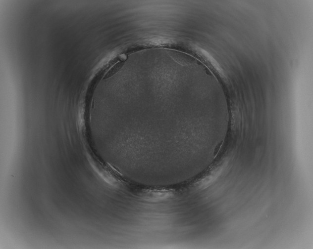 X0000111580443200907231238